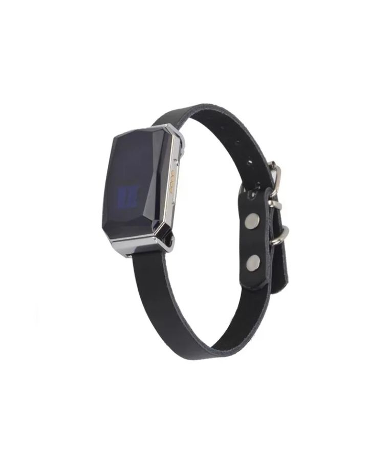 GPS gyvūnų sekiklis Feelspot FS-SC01GPS 1