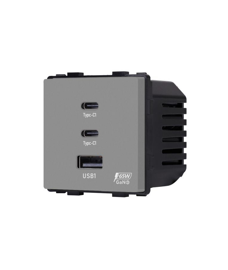 Greito krovimo rozetė Feelspot su USB+C+C jungtimis, 65W, pilka 2