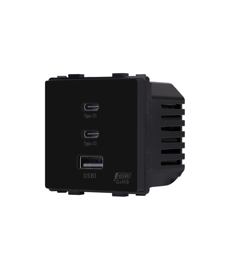 Greito krovimo rozetė Feelspot su USB+C+C jungtimis, 65W, juoda 2