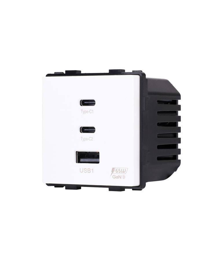 Greito krovimo rozetė Feelspot su USB+C+C jungtimis, 65W, balta 2