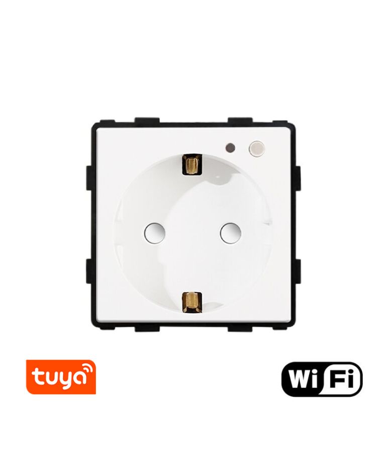 Kištukinis lizdas su sąnaudu matuokliu Feelspot, WiFi Tuya 1