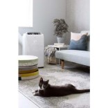 Oro kondicionierius Qlima P 534 ir lango tarpinė Trotec AirLock 100