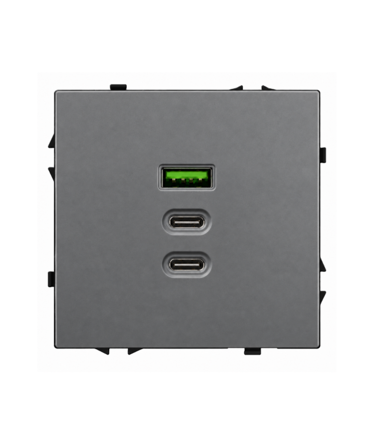 Greito krovimo USB rozetė su A+C+C jungtimis Feelspot FSACC65G, 65 W, pilka 1