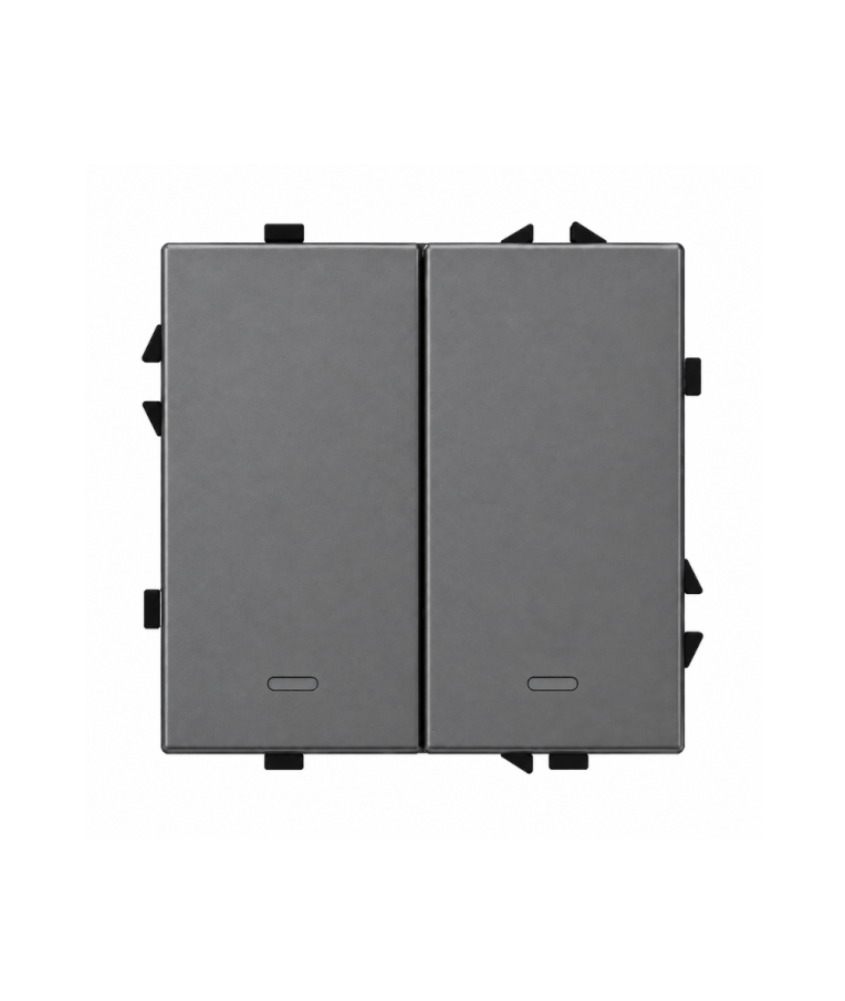 Dvipolis išmanus mechaninis jungiklis Feelspot FSMJZ2G Zigbee, Tuya, 1000W, pilkas 1