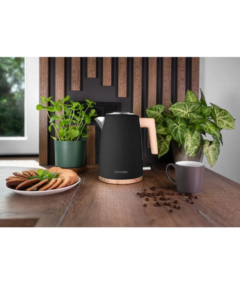 Nerūdijančio plieno virdulys Concept RK3316 Elwood, 1,7 l