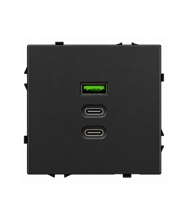 Greito krovimo USB rozetė su A+C+C jungtimis Feelspot FSACC65B, 65 W, juoda 1
