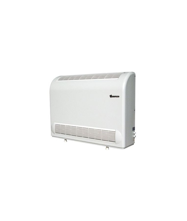 Baseinų oro sausintuvai Fairland DH 1