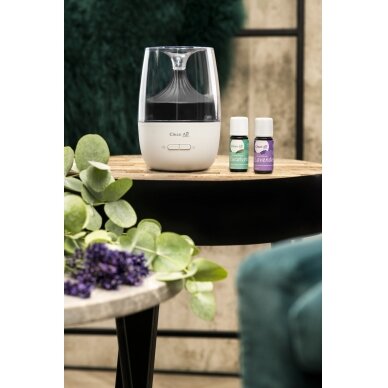 Aromatinis difuzorius Clean Air Ambiente AD 302