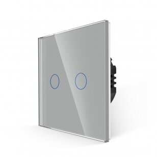 WiFi dvipolis sensorinis jungiklis Feelspot, pilkas 600W