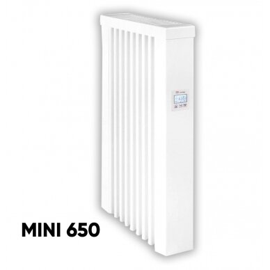 Electric radiators AeroFlow 1