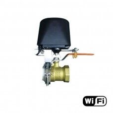 Išmanusis vandens ir dujų vožtuvo valdiklis Feelspot FS-VC01 WiFi