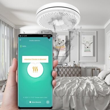 Išmanusis dūmų ir CO2 jutiklis Feelspot FS-CSS01W WiFi, Tuya 9