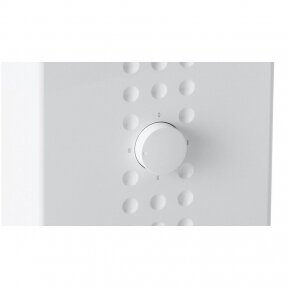Instantaneous water heater Veito Flow S