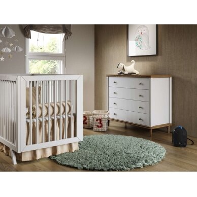 Oro sterilizatorius Airfree P150 3