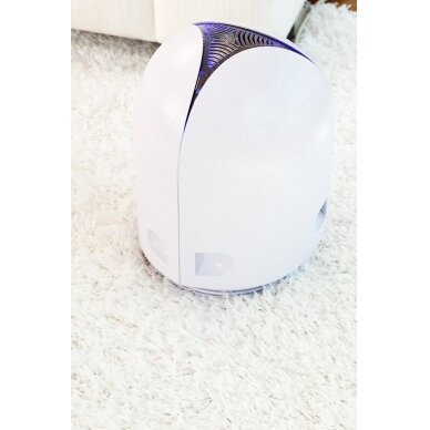Oro sterilizatorius Airfree P40 3