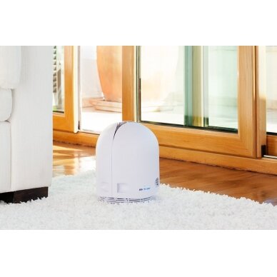 Oro sterilizatorius Airfree P40 6